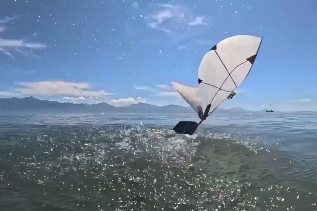 New flapping robot swims and flies like a diving bird | MIT News