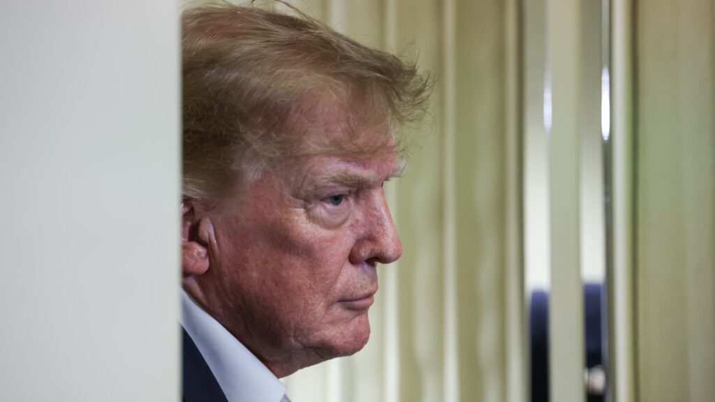 Trump asks Ukraine to stop Russia refinery attacks as diesel surges